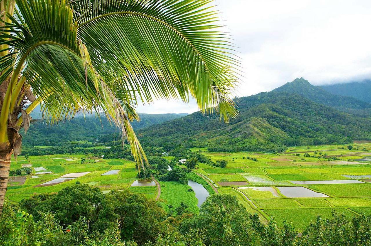 Waipouli Beach Resort Penthouse Exquisite Ocean & Pool View Condo! Kapa'a Luaran gambar